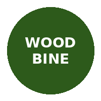 Woodbine Casino logo